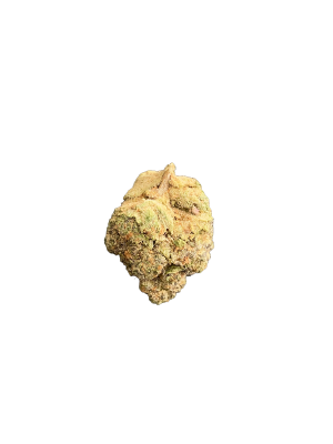 Gelato Cake - 3.5g