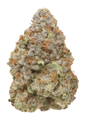 Lemon Cherry Baccio - 3.5g